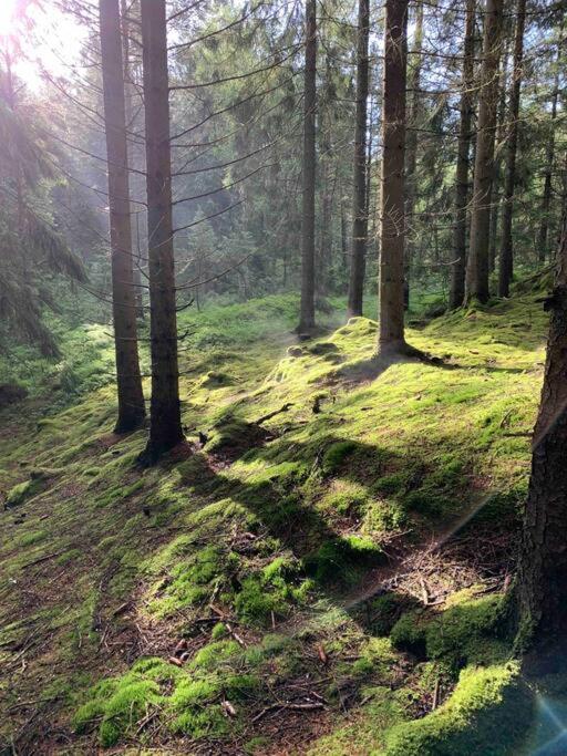 Panoramavy Naera Gbg Och Natur Olofstorp Exterior foto